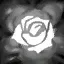 사미라 R
